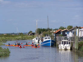 Kayak et Nature balade en kayak et wave ski en Charente