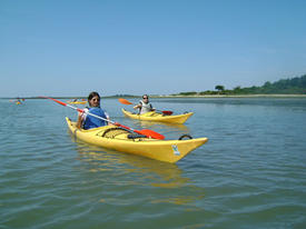 balades nautiques kayak La Mouette Sinagote école de voile sur le Golfe du Morbihan près de Vannes