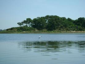 balades nautiques kayak La Mouette Sinagote école de voile sur le Golfe du Morbihan près de Vannes