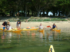 balades nautiques kayak La Mouette Sinagote école de voile sur le Golfe du Morbihan près de Vannes