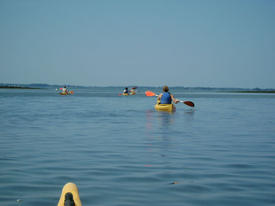 balades nautiques kayak La Mouette Sinagote école de voile sur le Golfe du Morbihan près de Vannes