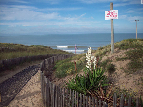 Koa Surf School école de surf et de bodyboard La Tranche sur Mer en Vendée