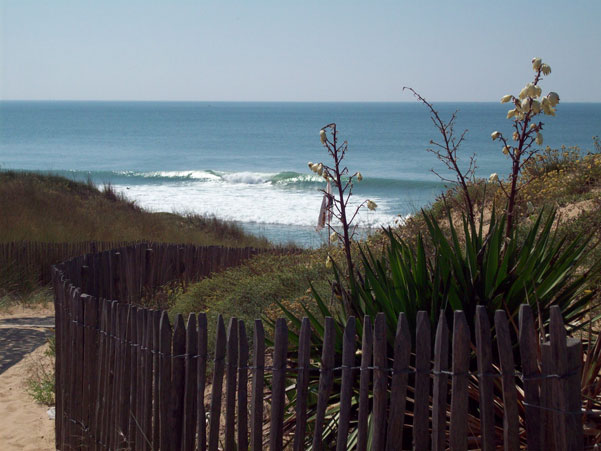 Koa Surf School école de surf et de bodyboard La Tranche sur Mer en Vendée