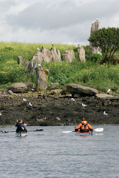 Kerners Kayak randonnée et balades en Kayak sur le Golfe du Morbihan Bretagne