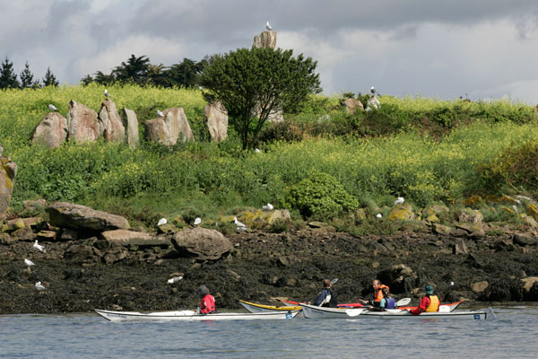 Kerners Kayak randonnée et balades en Kayak sur le Golfe du Morbihan Bretagne