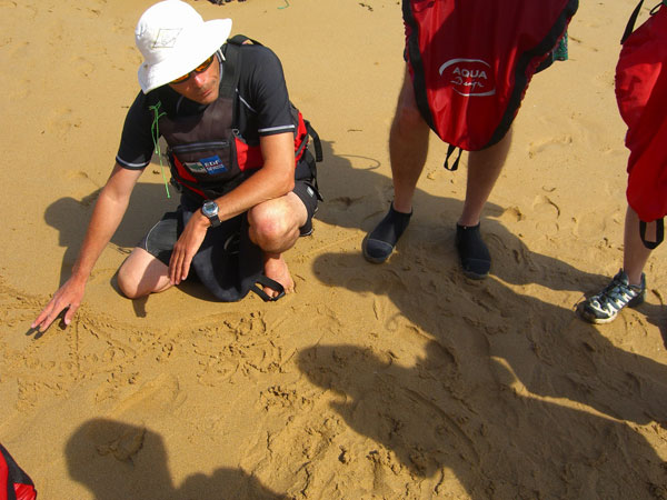 Sillages balades et randonnées en kayak de mer Quiberon Bretagne