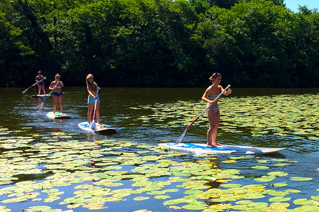 naeco-paddle-2