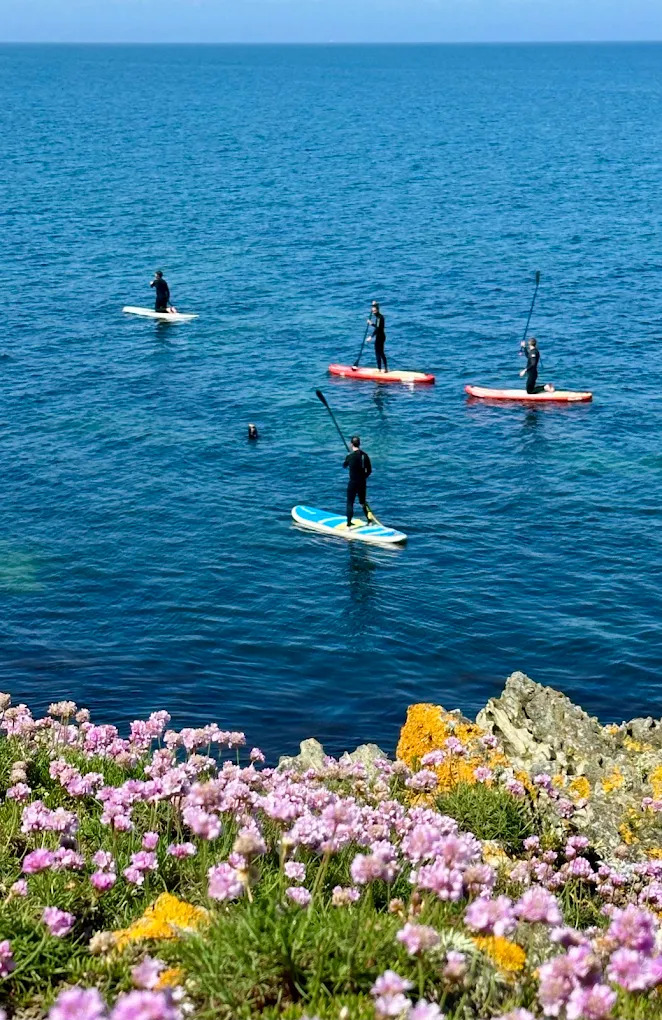 paddle-TySchool-Belle-Ile-12