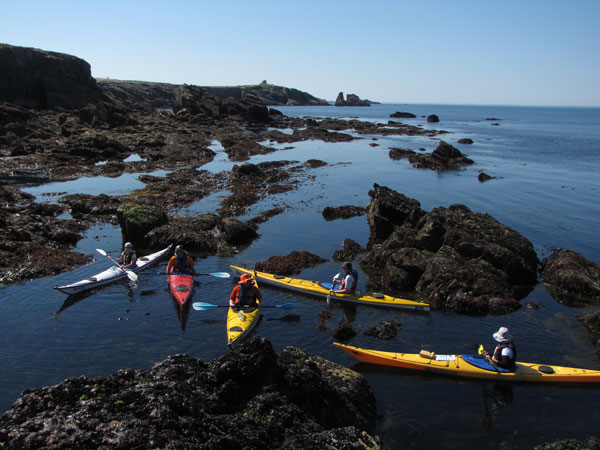 Sillages balades et randonnées en kayak de mer Quiberon Bretagne