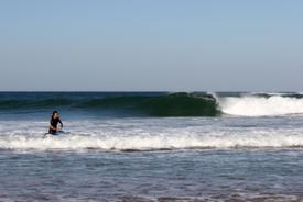 écoles de surf de vendée Veillon Surf School - Le Poulpe