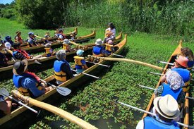 Balade contes et légendes en pirogue à Mimizan