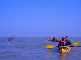 2 Bivouacs ou deux journées de balade en Kayak de mer et rivière - Charente-Maritime