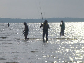 Deux cours de kitesurf sur le Bassin d'Arcachon